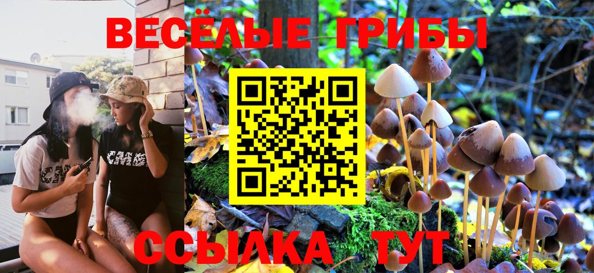 Псилоцибиновые грибы Cubensis Скопин