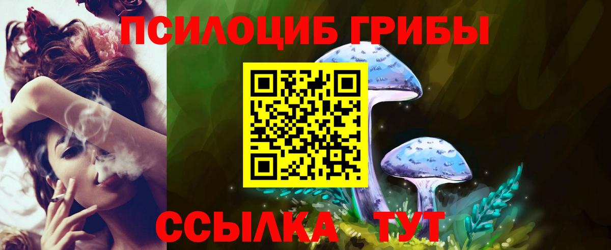 Псилоцибиновые грибы Psilocybe  Вход с VPN  Скопин 
